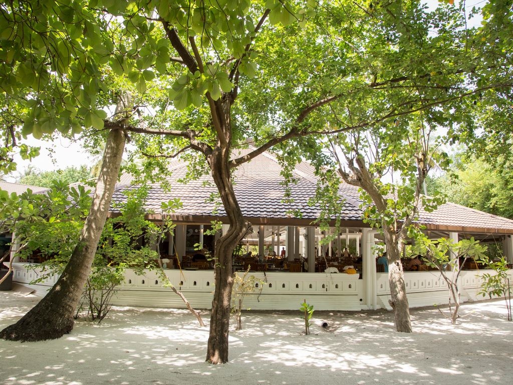 restaurants-main-restaurant