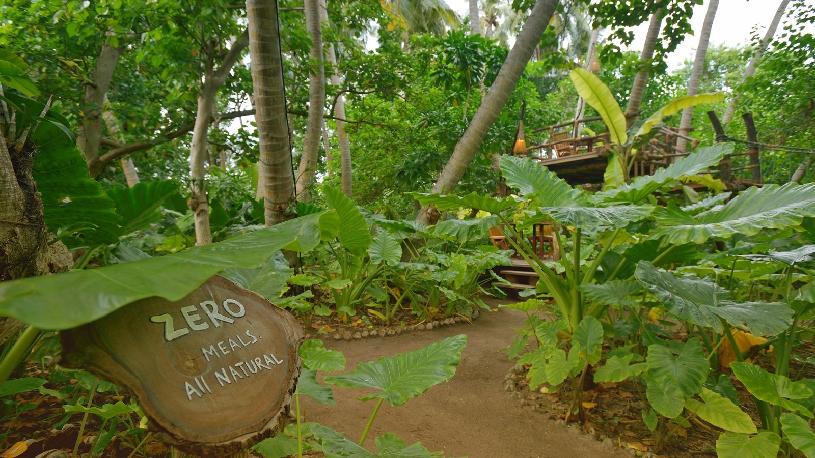 restaurants-zero-restaurant