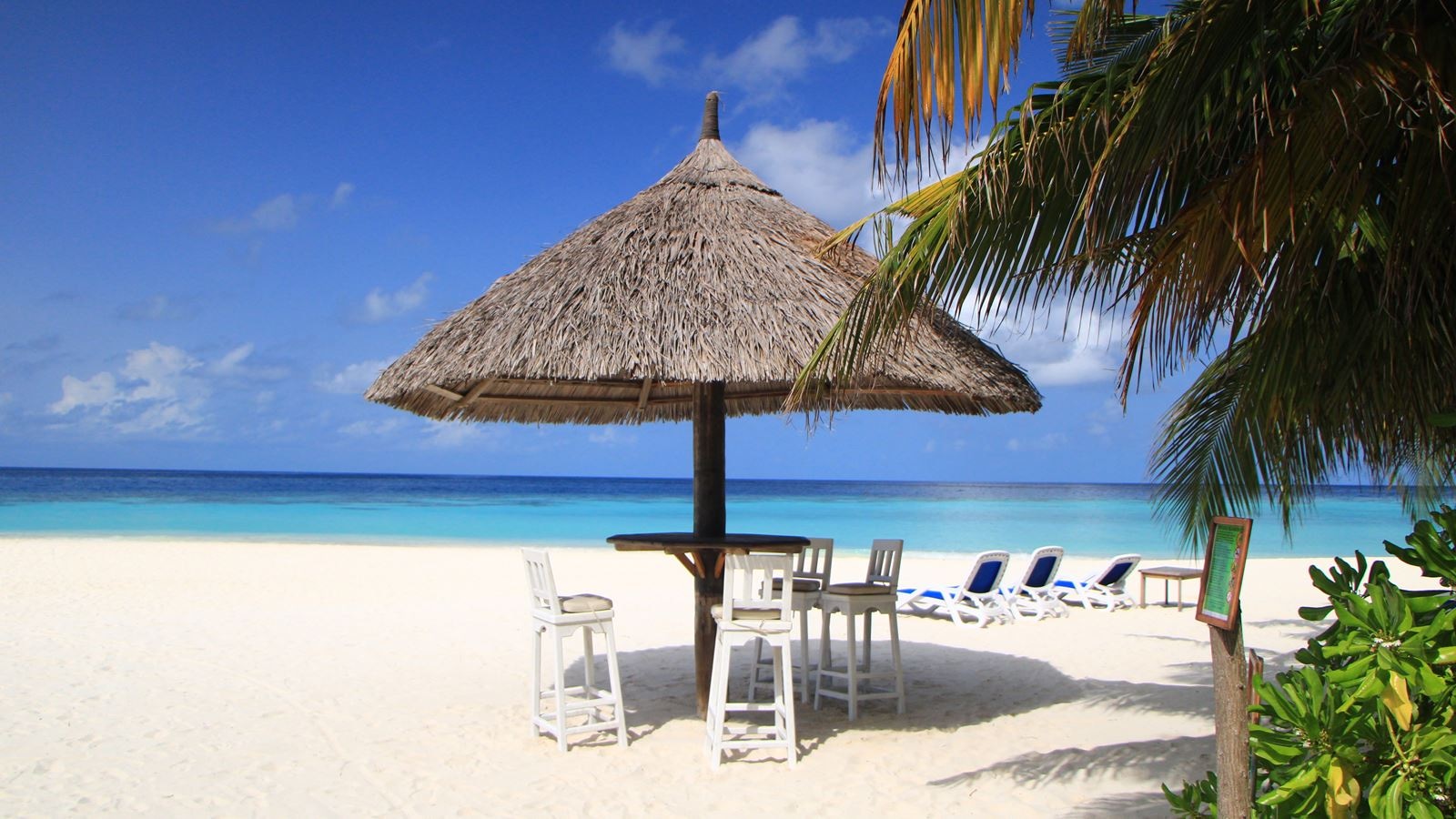 bars-turtle-point-beach-bar