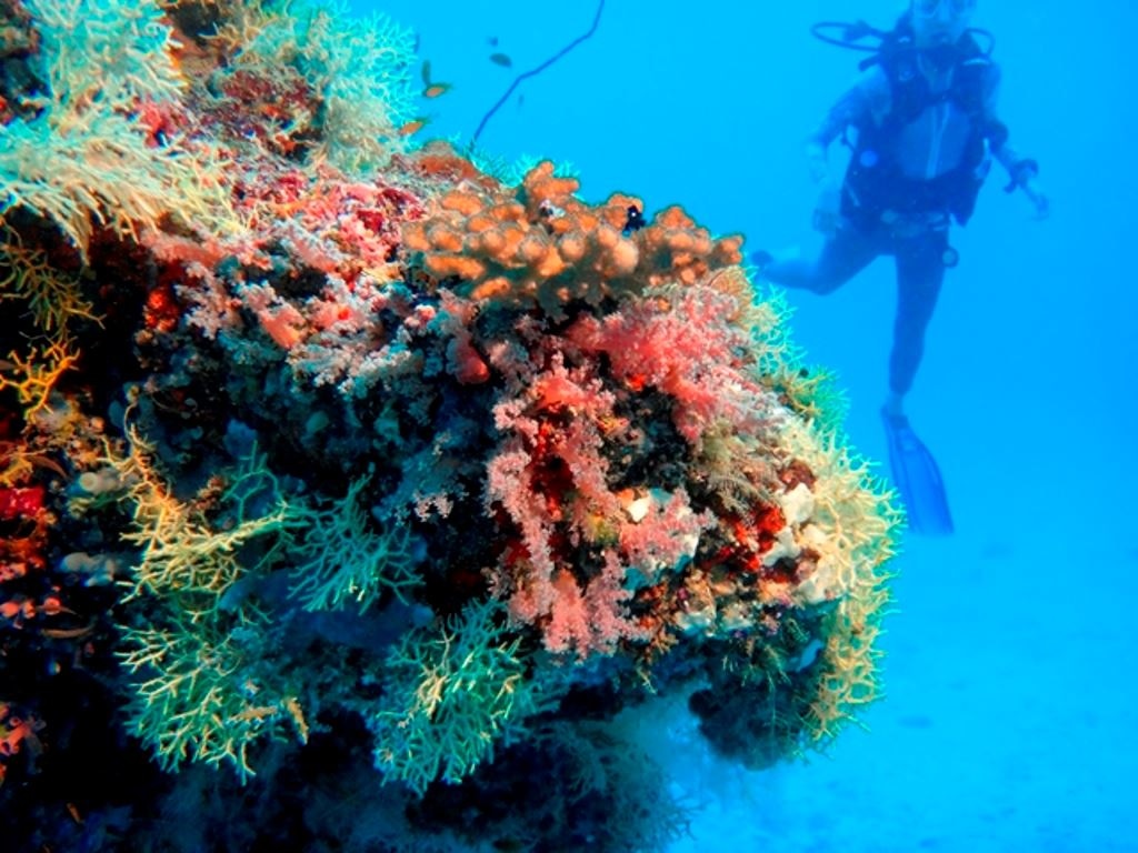 water-park-water-park