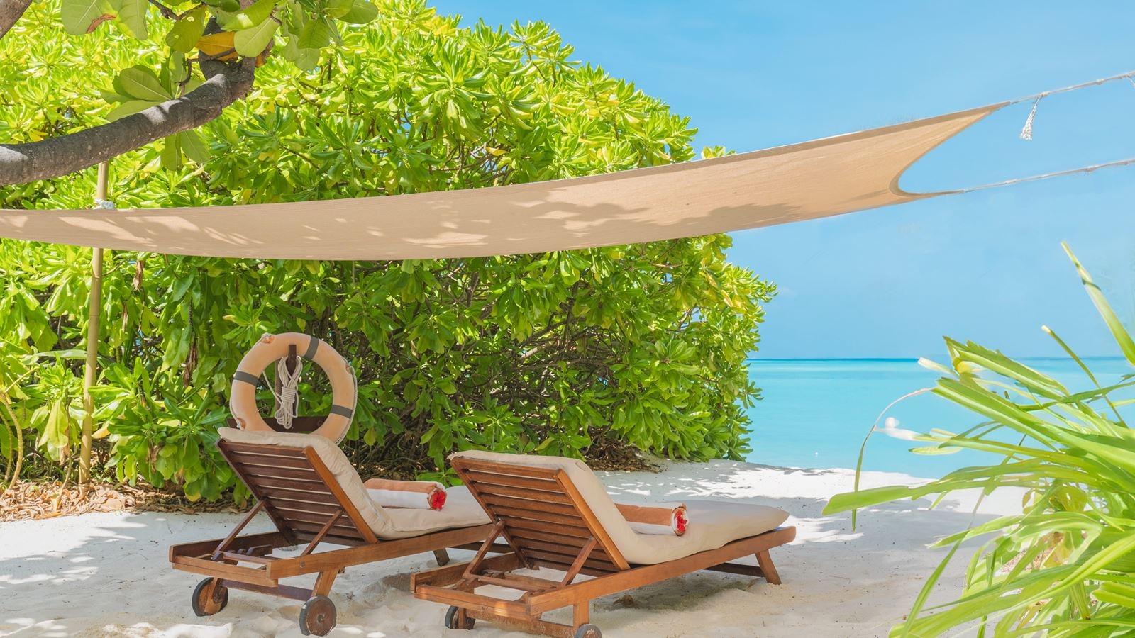 rooms-deluxe-beach-residence-with-lap-pool