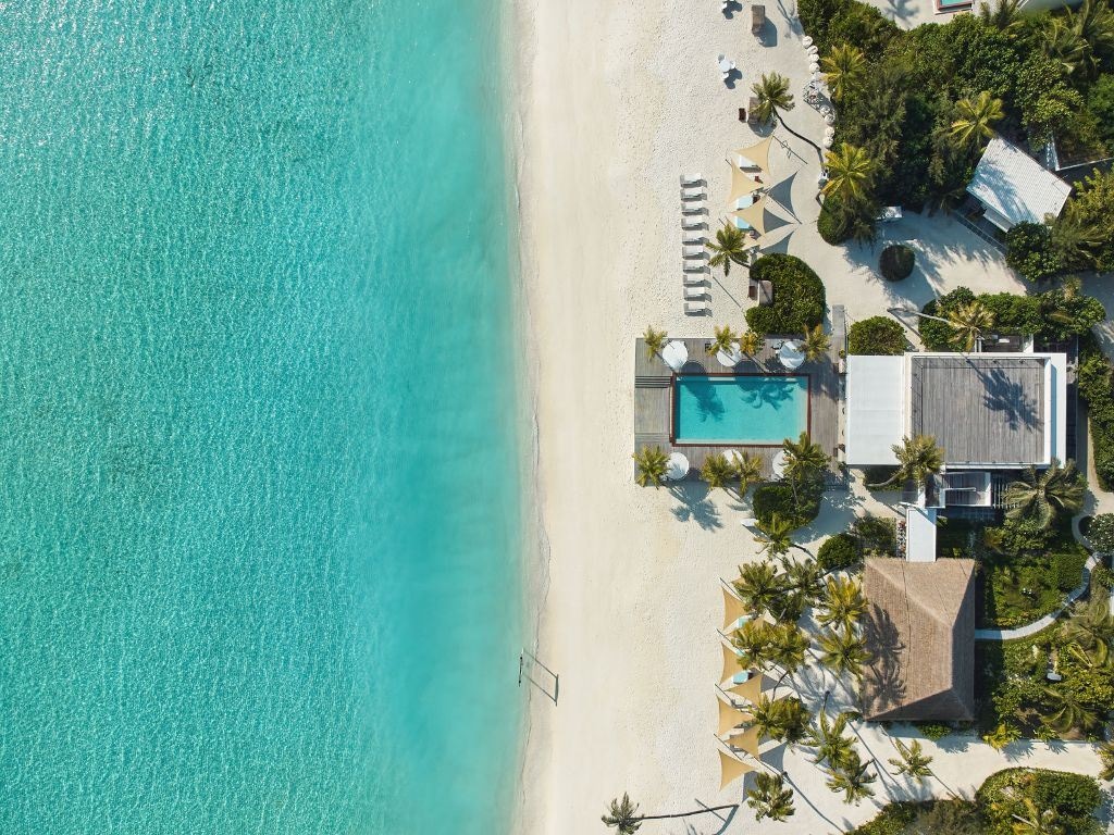 restaurants-shimmers