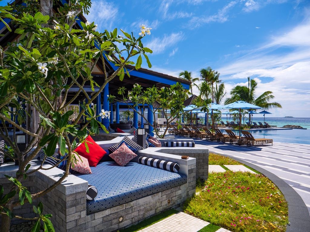 bars-miss-olive-oyl-pool-bar