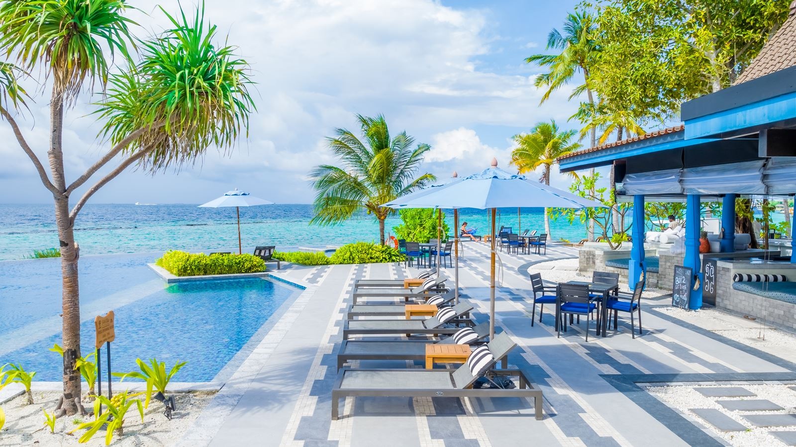 restaurants-miss-olive-oyl-pool-bar