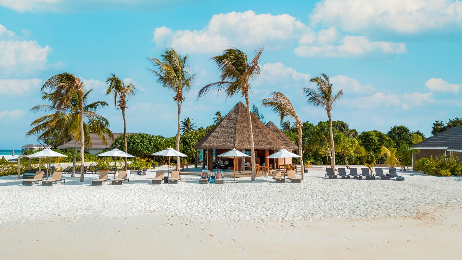bars-beach-bar