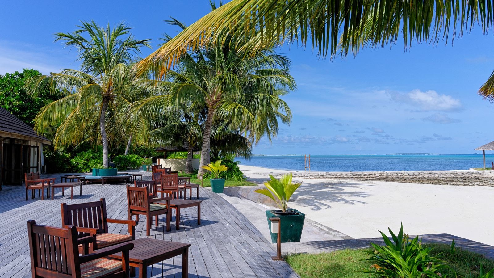 restaurants-dhoni-bar