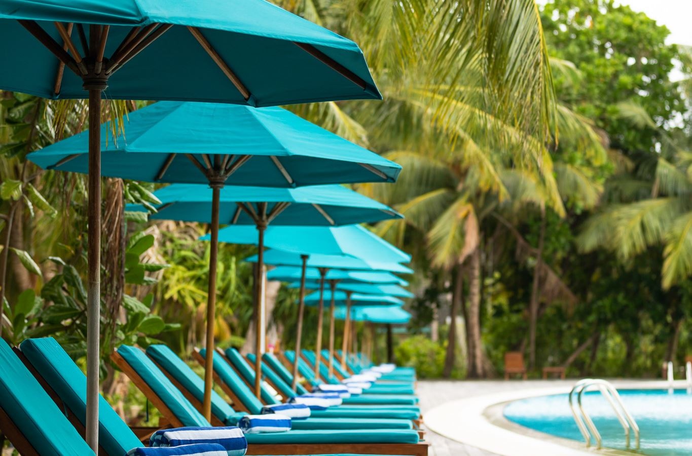 restaurants-dhoni-bar