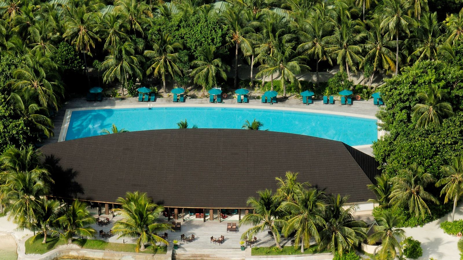 restaurants-dhoni-bar