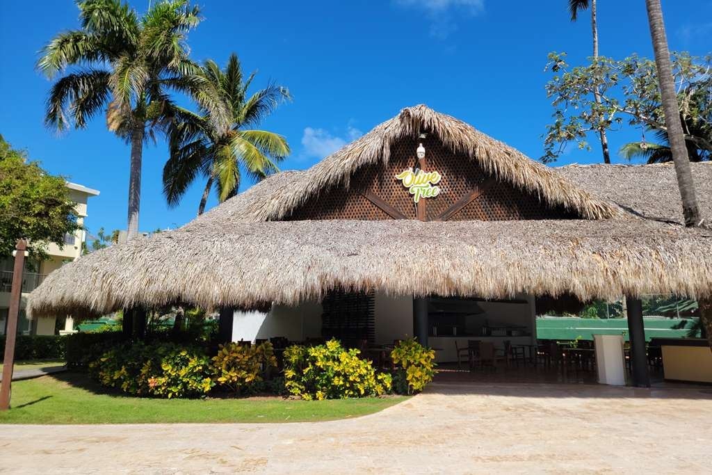 restaurants-olive-tree