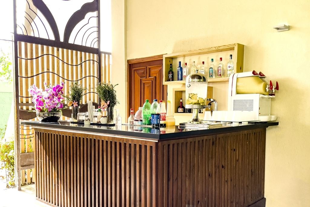 bars-agata-at-the-theater