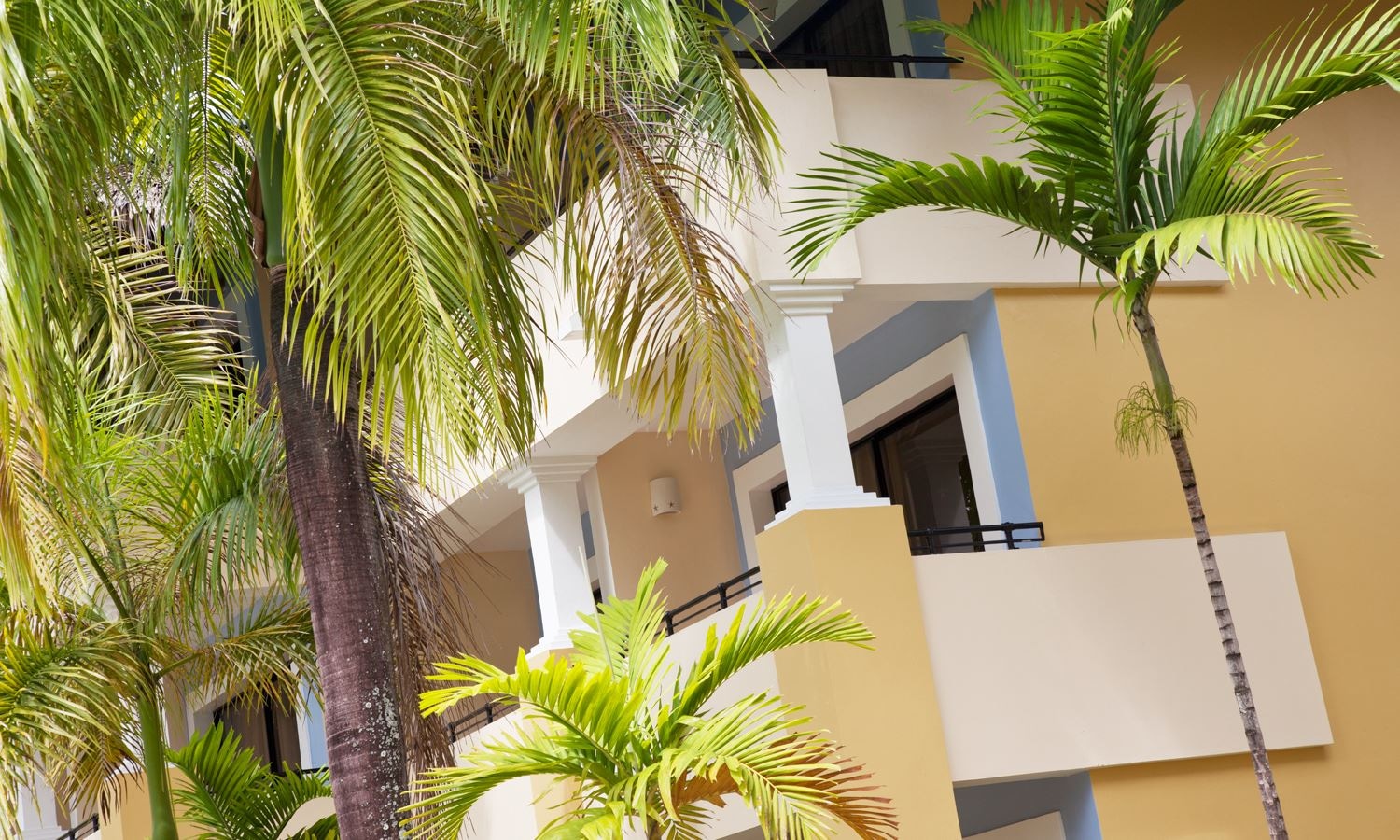 rooms-run-of-the-house