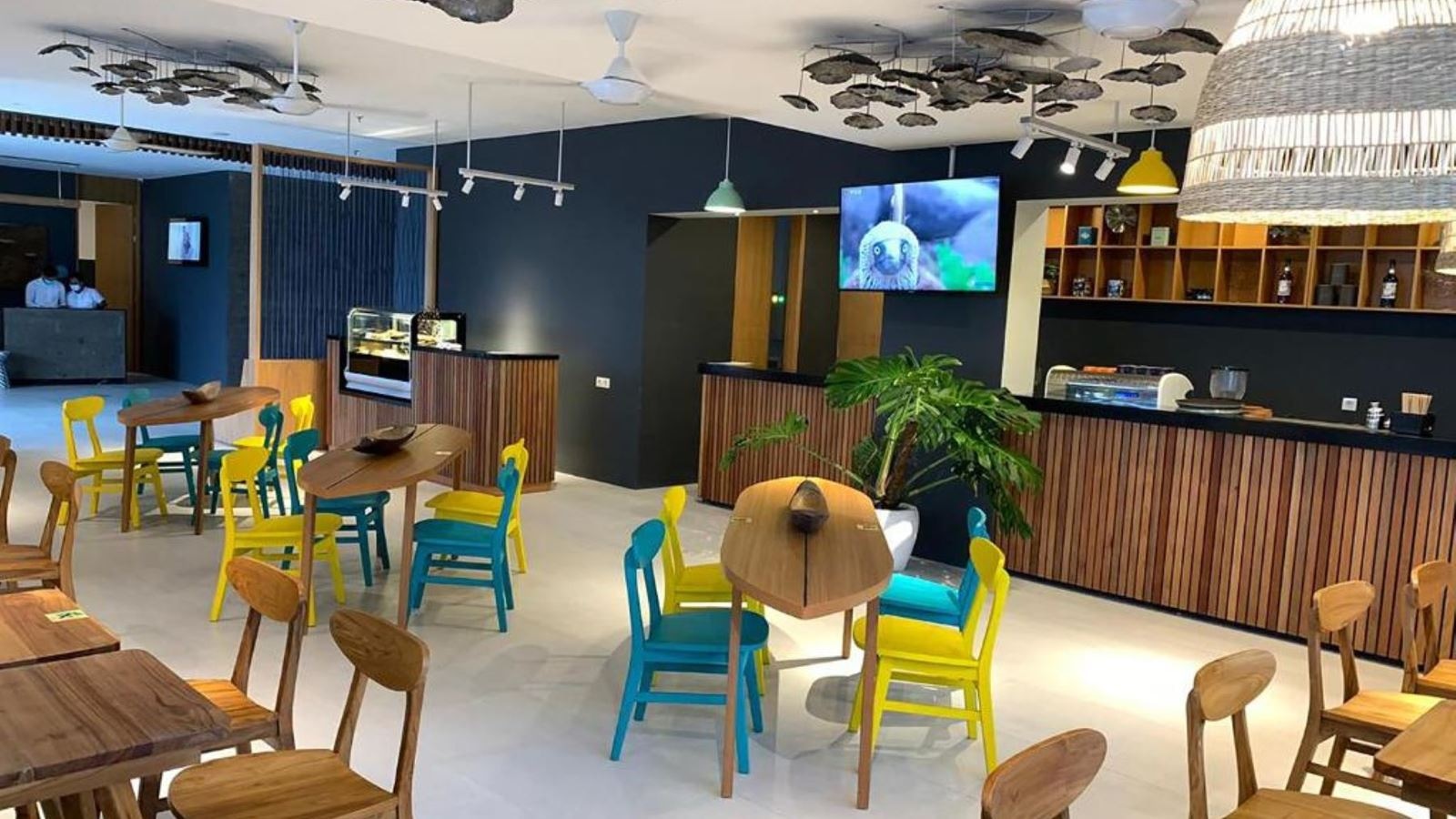 restaurants-lemon-and-salt