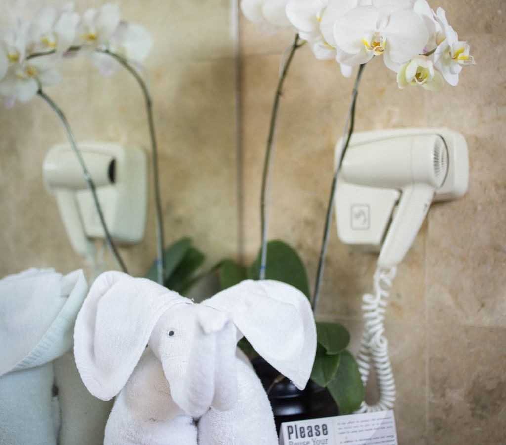 rooms-park-view-room