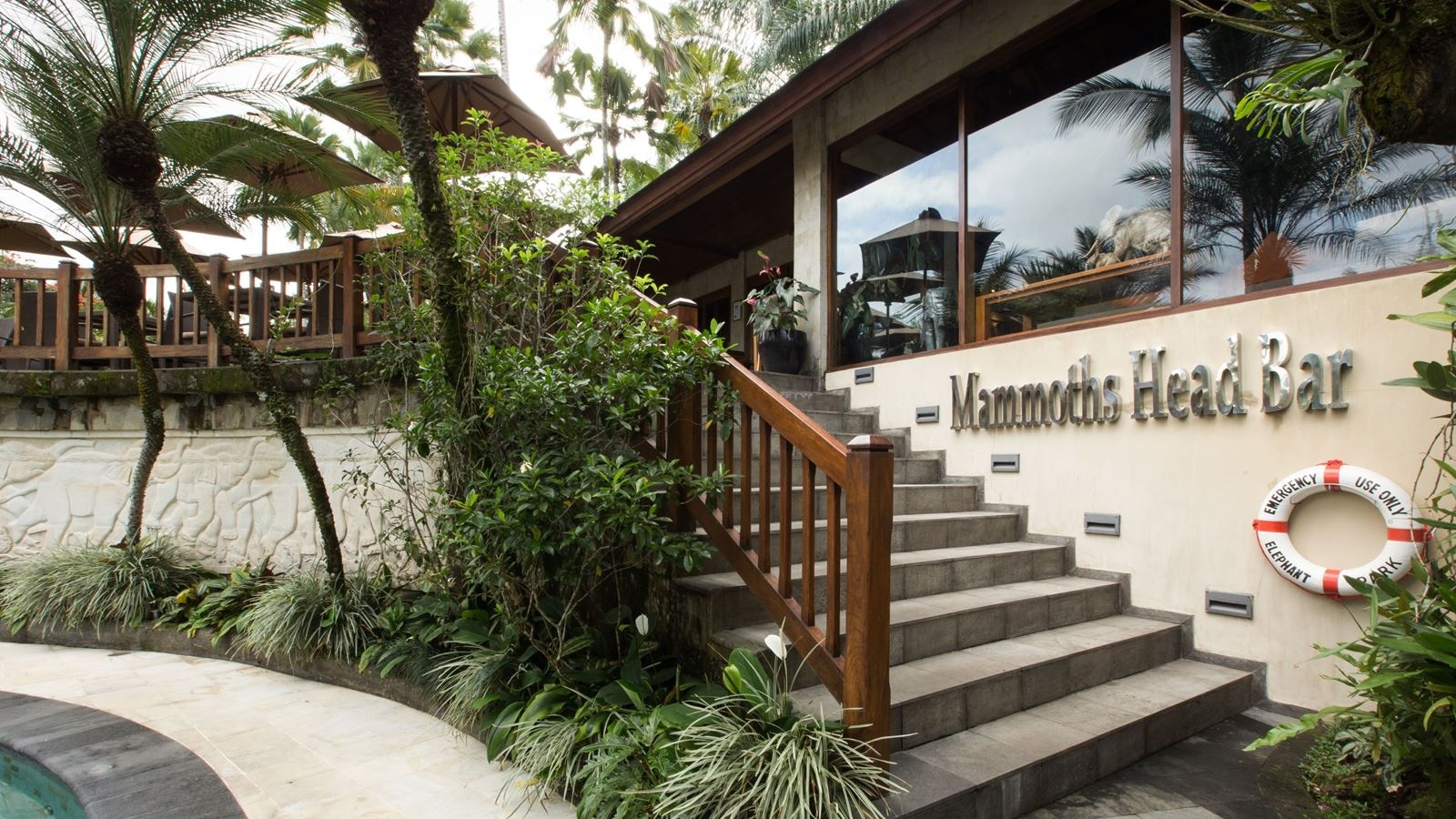 bars-tree-top-lounge