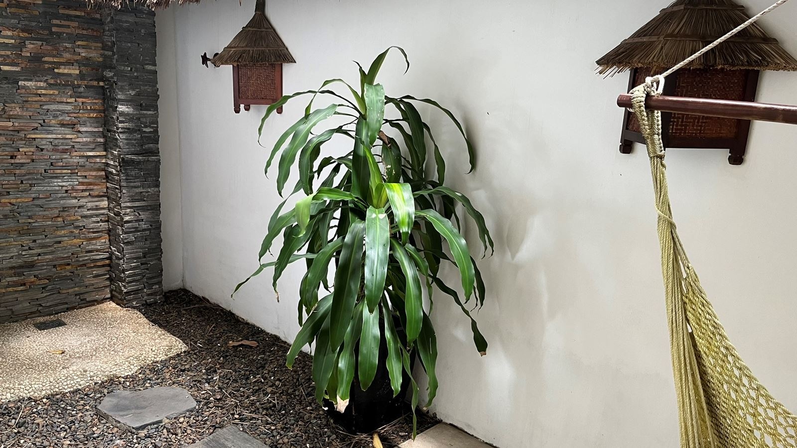 rooms-deluxe-sea-view-bungalow