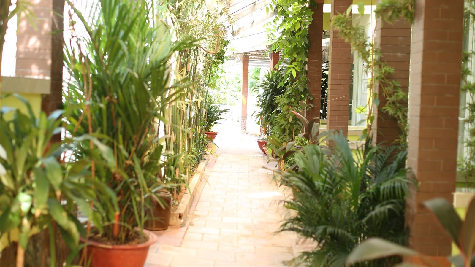 rooms-bungalow-standard-with-terrace