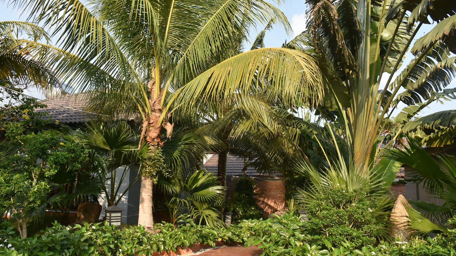rooms-bungalow-garden-view
