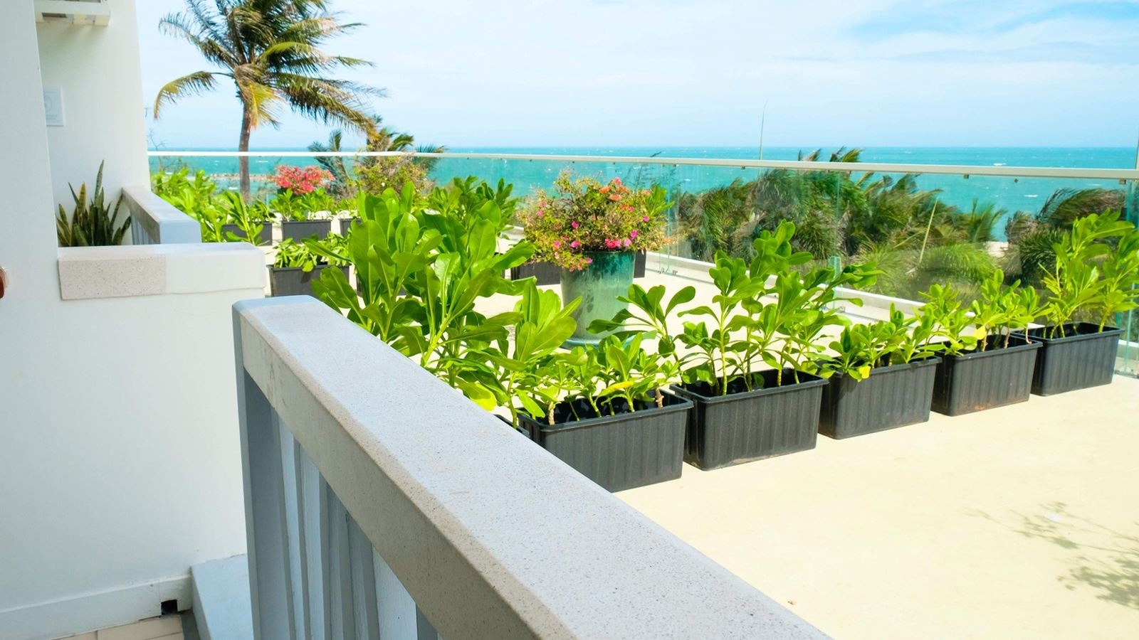 rooms-azul-sea-view-child-without-extra-bed