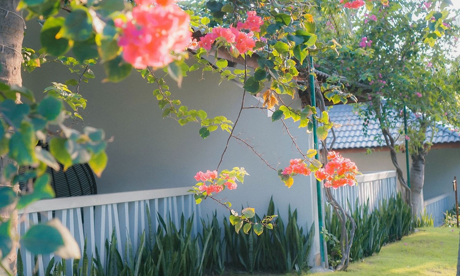 rooms-beachfront-bungalow-child-without-extra-bed