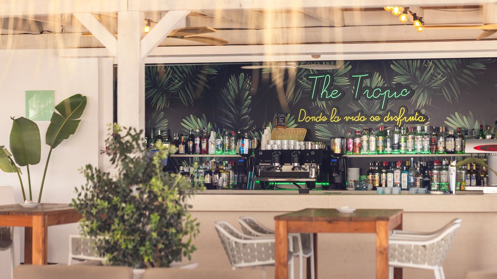 bars-the-tropic