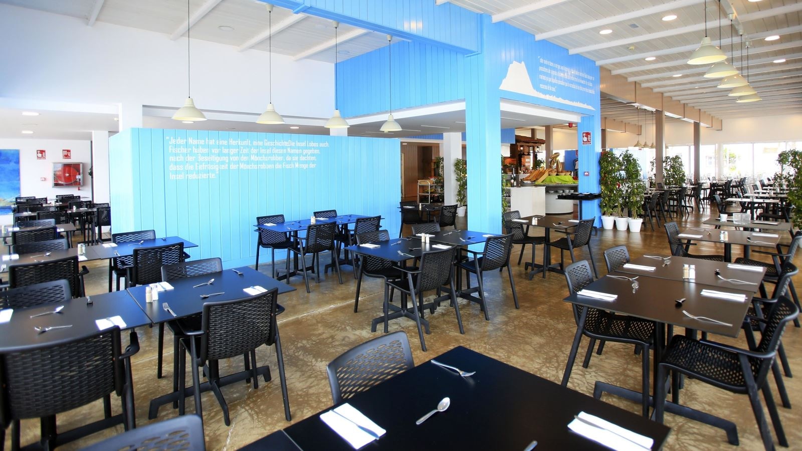 restaurants-lobos-beach-and-botanic