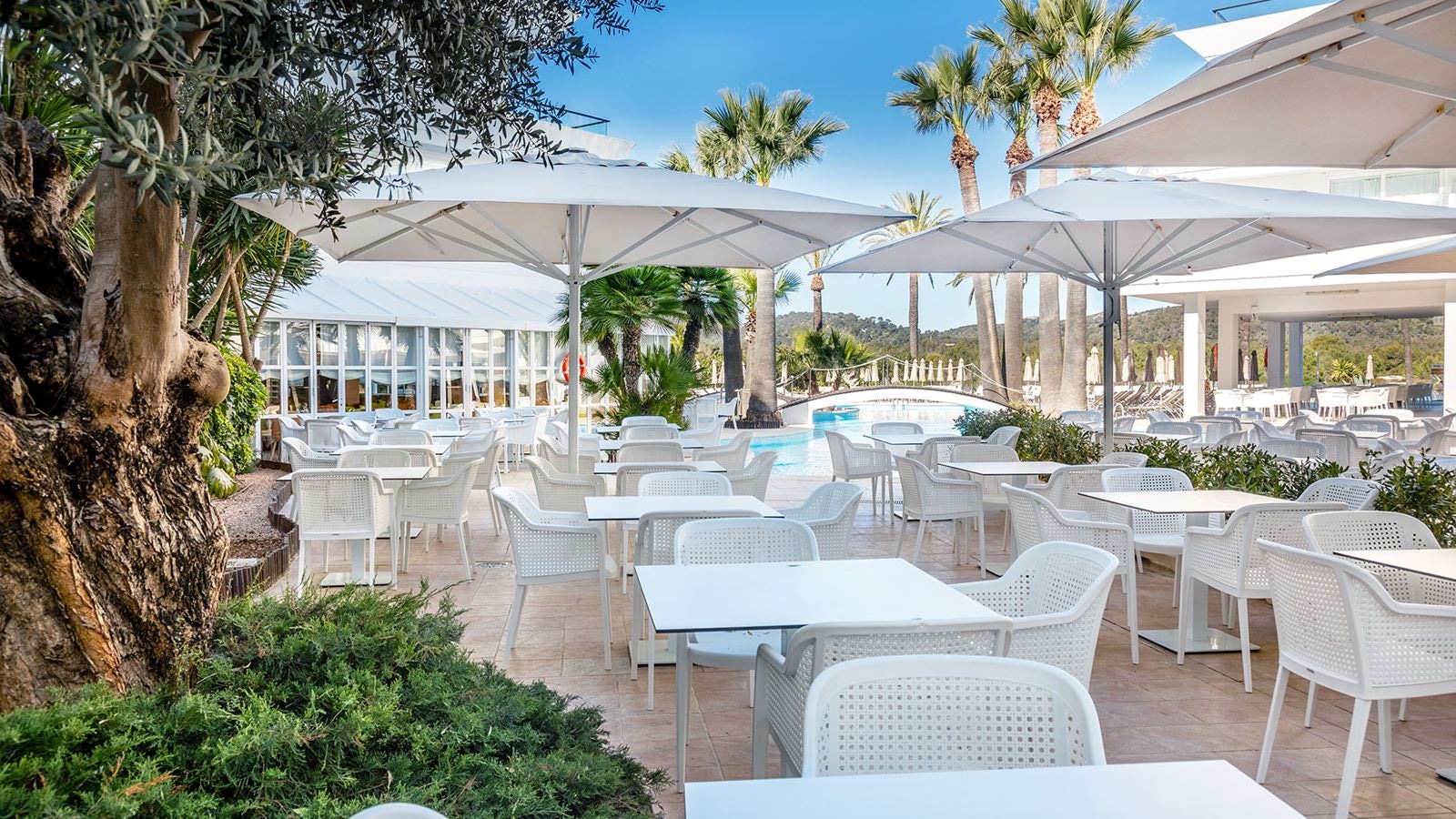 restaurants-lounge-bar-babalu