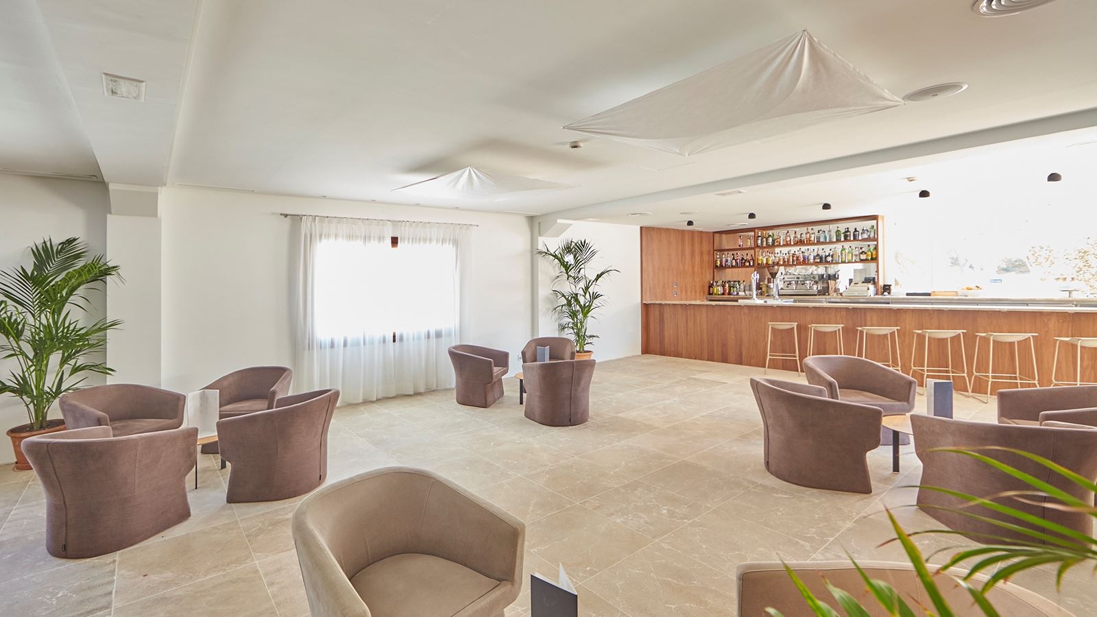 restaurants-snack-bar-saltco