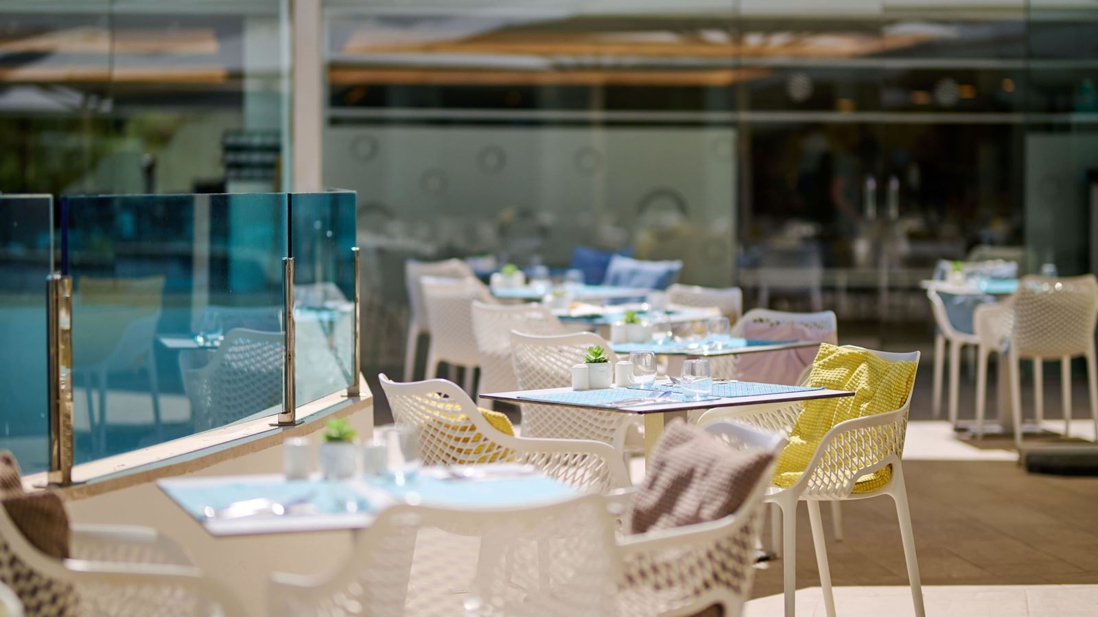 restaurants-terra-café