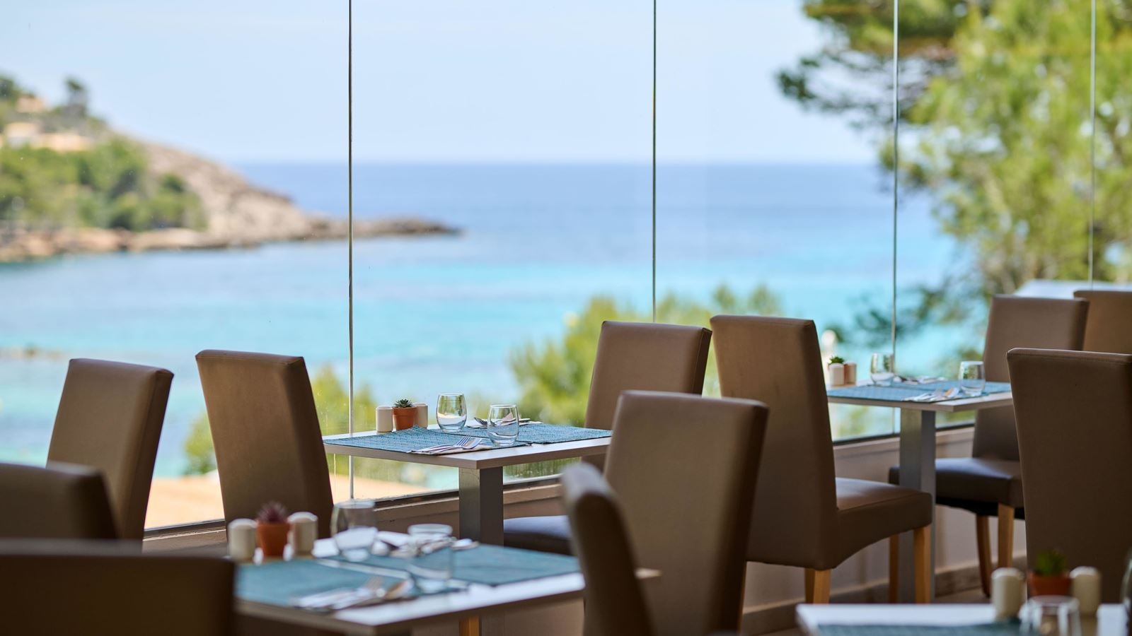 restaurants-terra-café