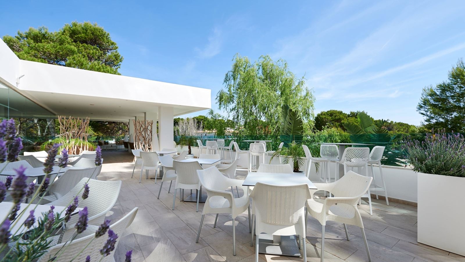 restaurants-terra-café