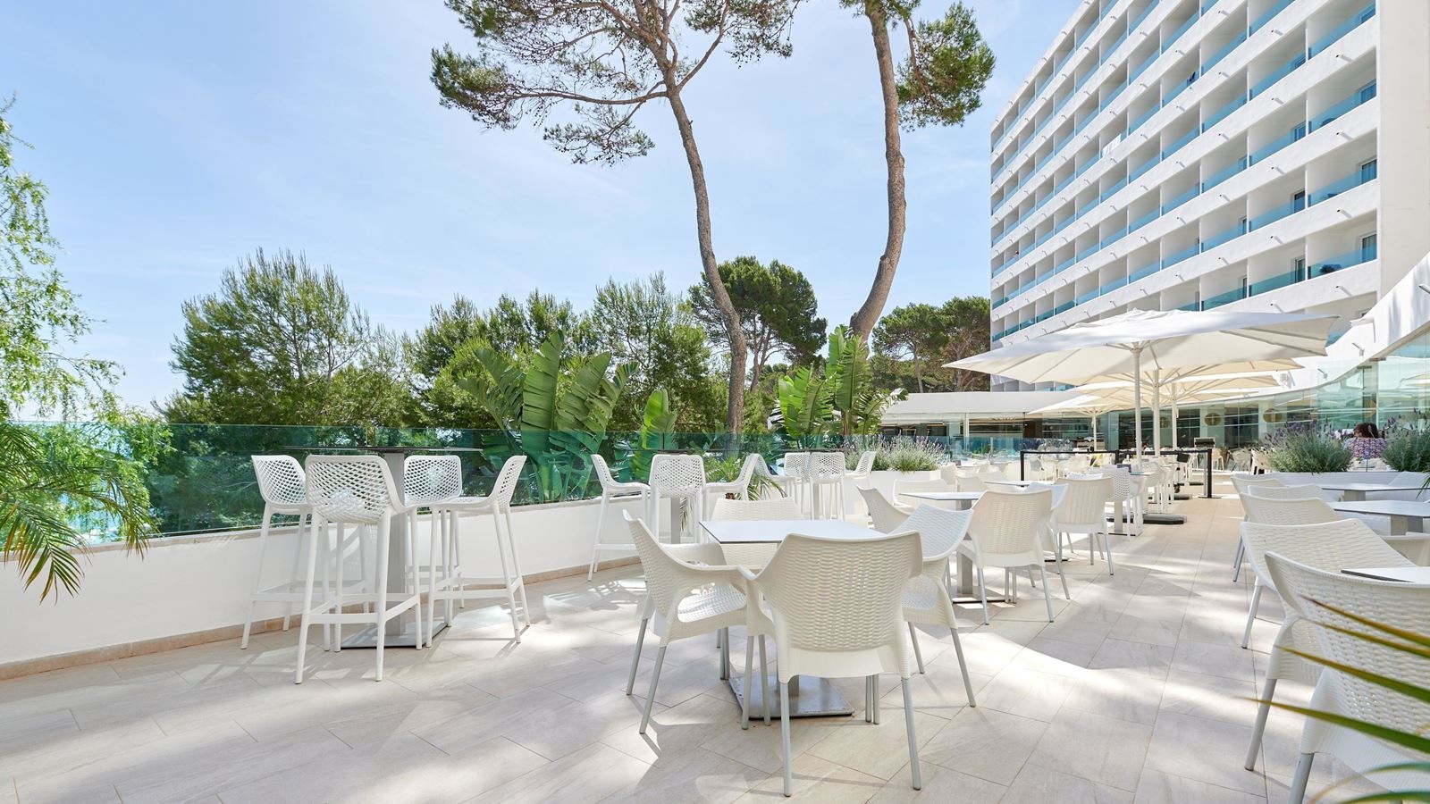 restaurants-terra-café