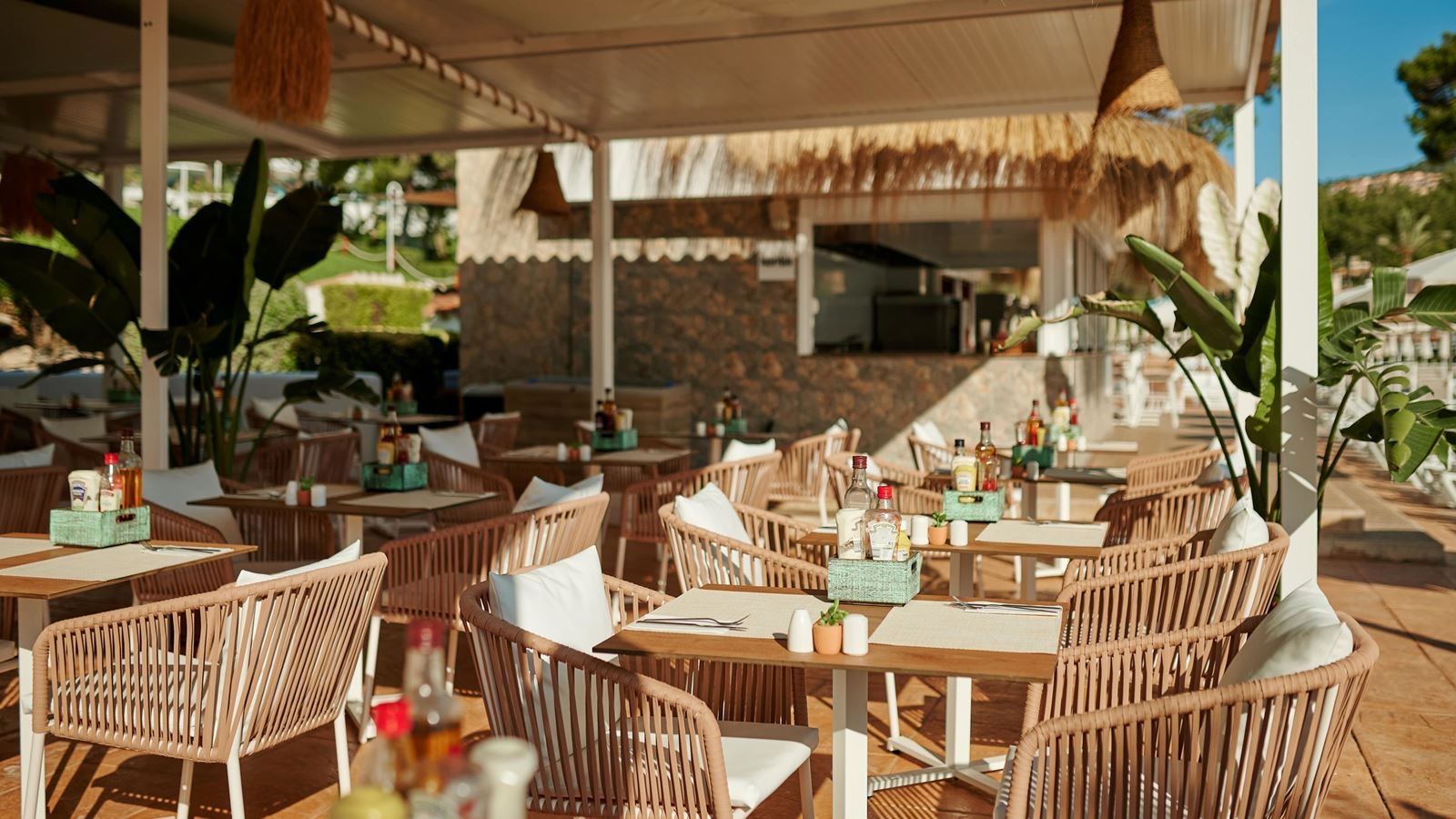 restaurants-terra-café