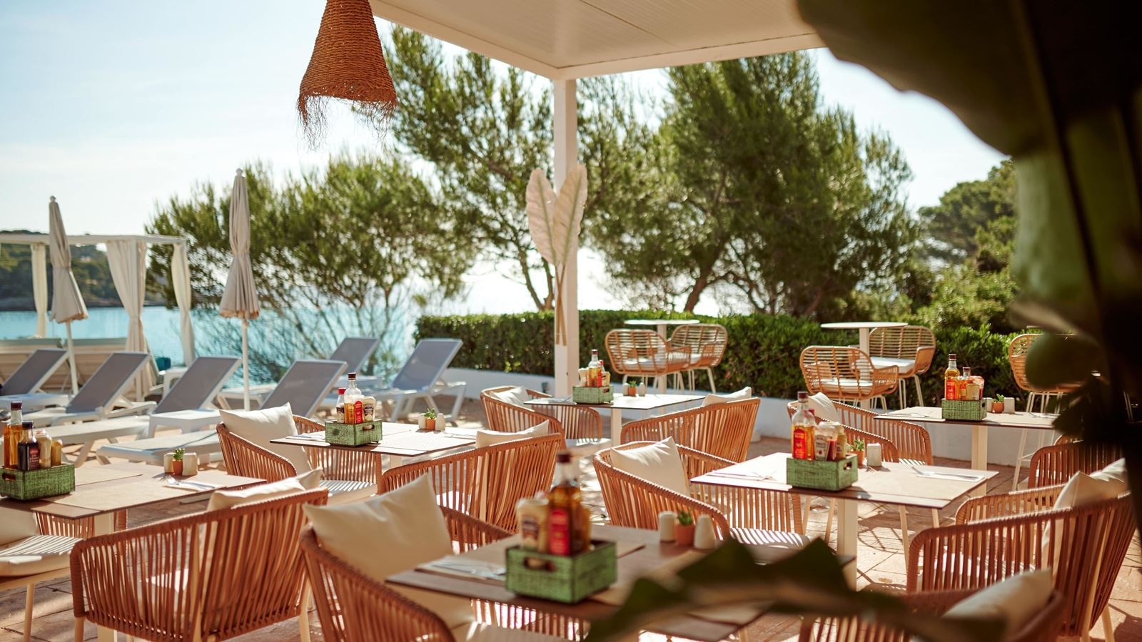 restaurants-terra-café