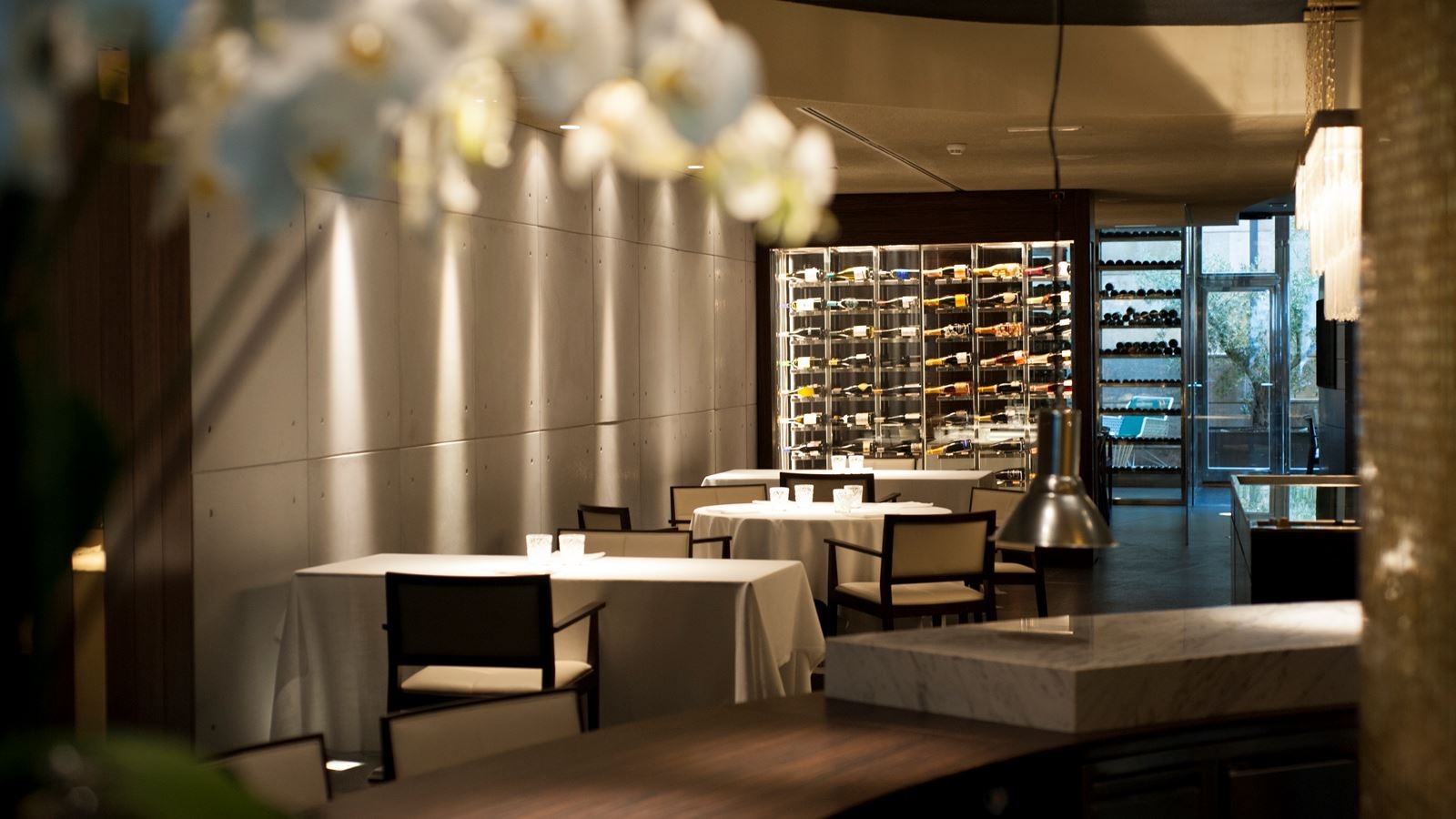 restaurants-restaurants