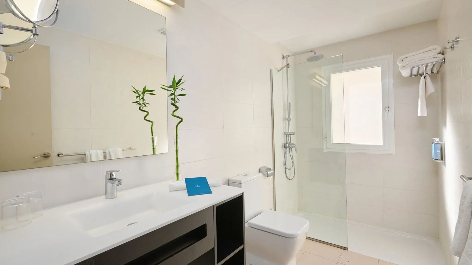 rooms-apartment-1-bedroom-club-economy-balcony