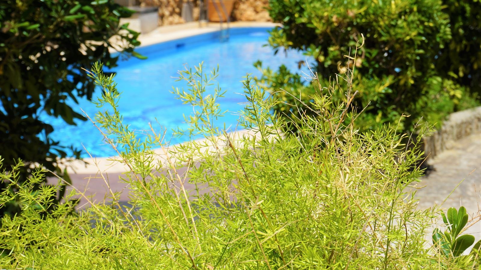 pools-pools