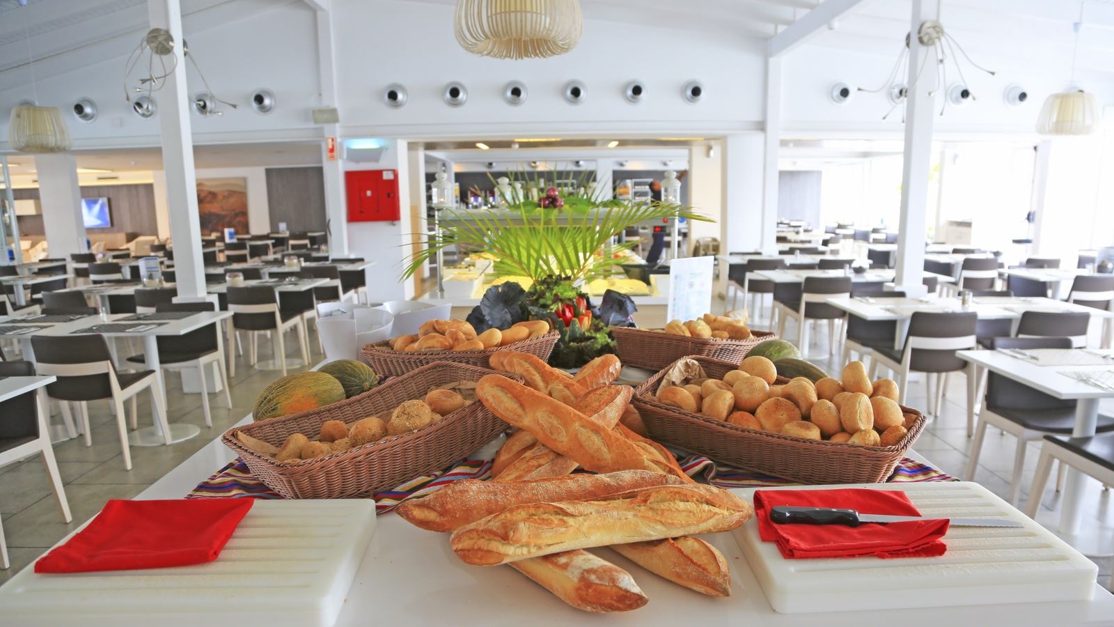 restaurants-beach-lounge