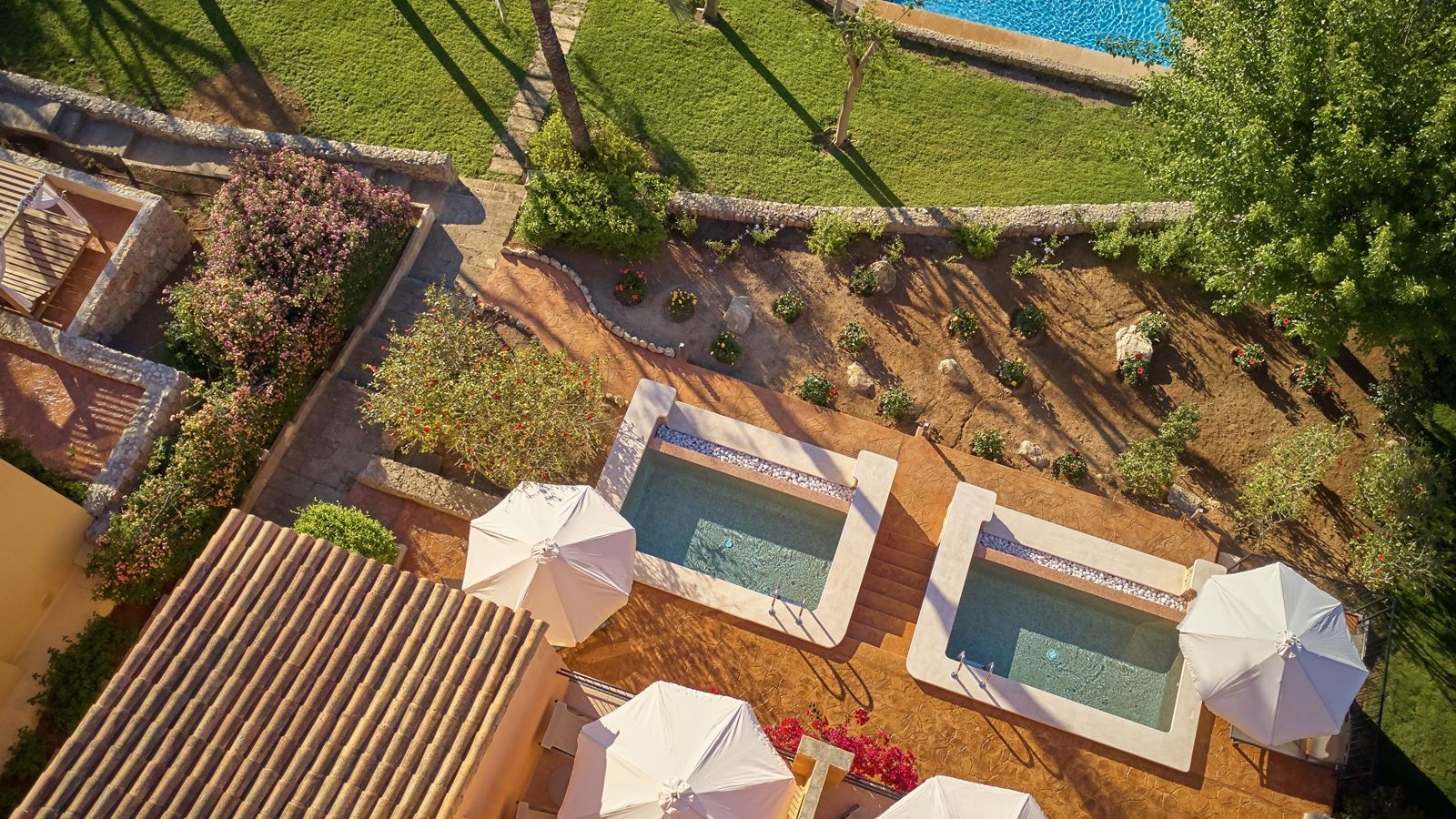 rooms-suite-swim-up-balcony-or-terrace