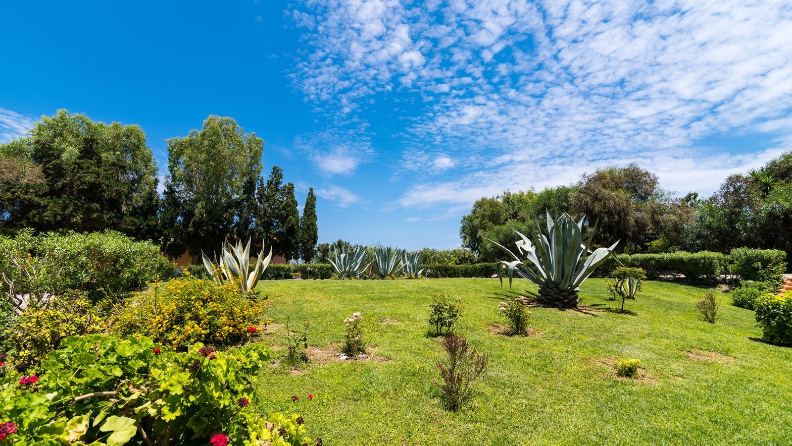 rooms-double-standard