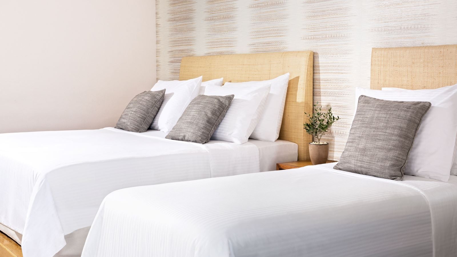 rooms-bed-in-dormitory-standard