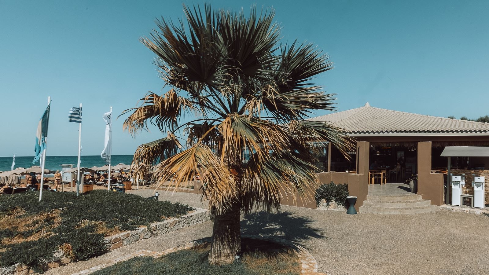 restaurants-beach-restaurant