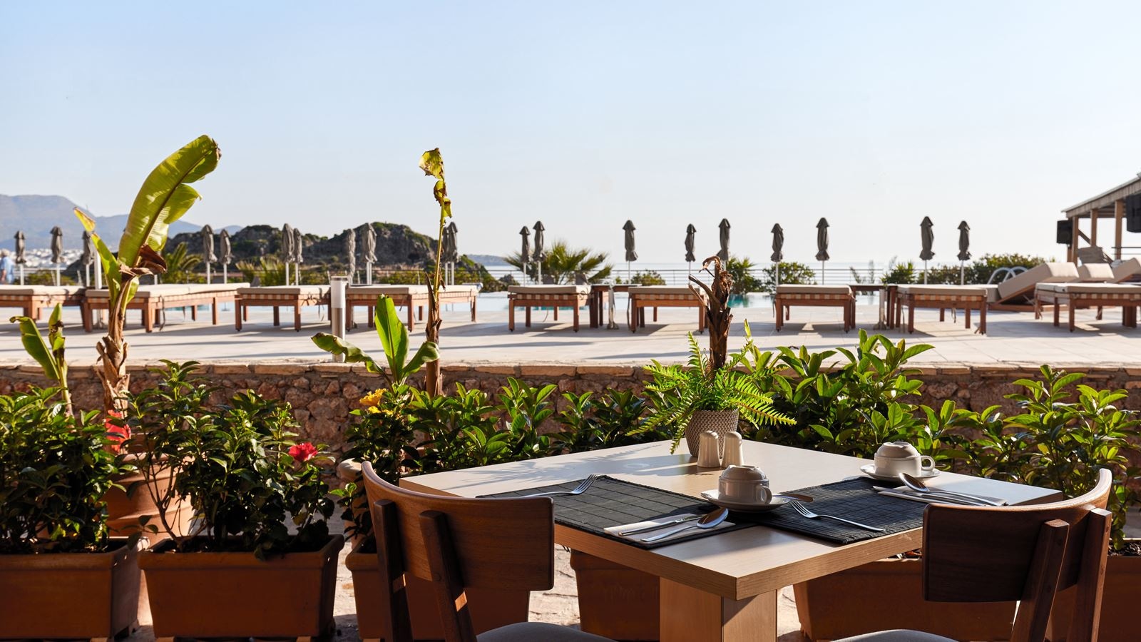 restaurants-main-restaurant