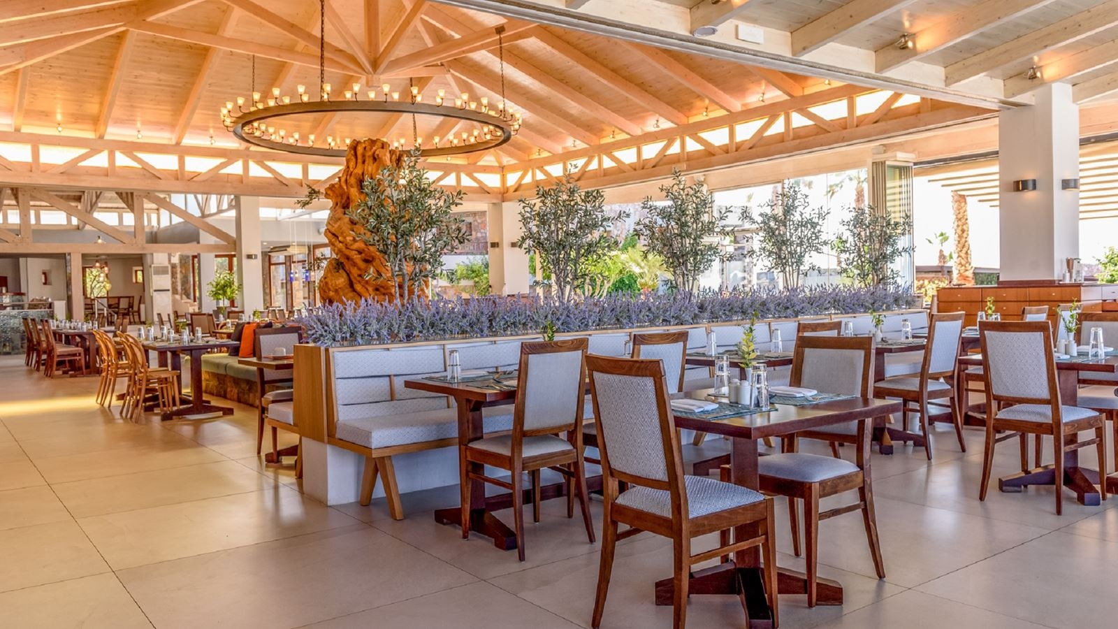 restaurants-olive-main-restaurant