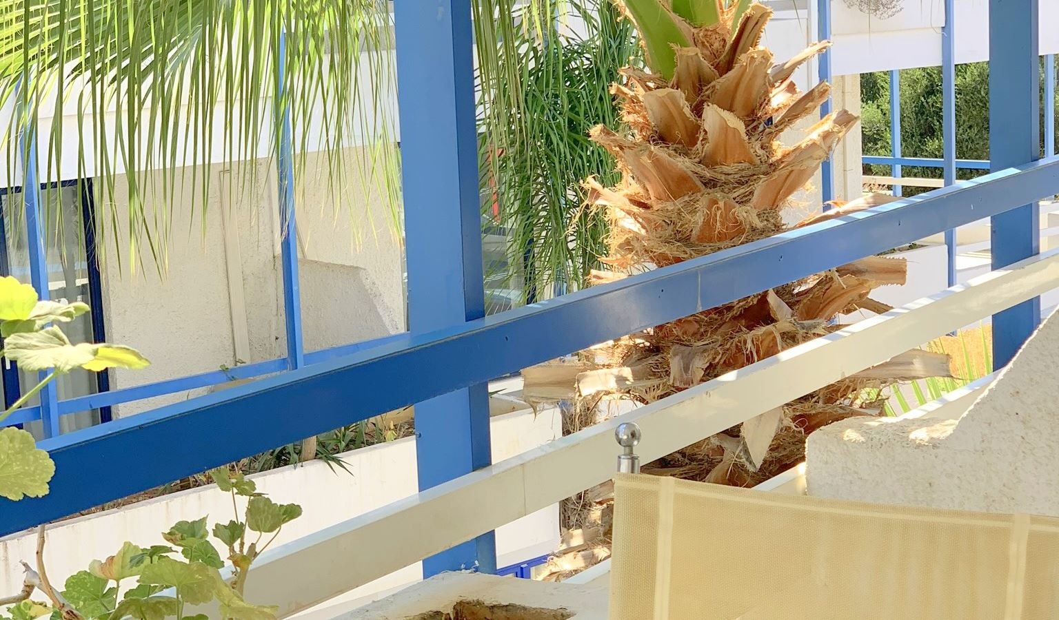 rooms-connected-studios-city-view