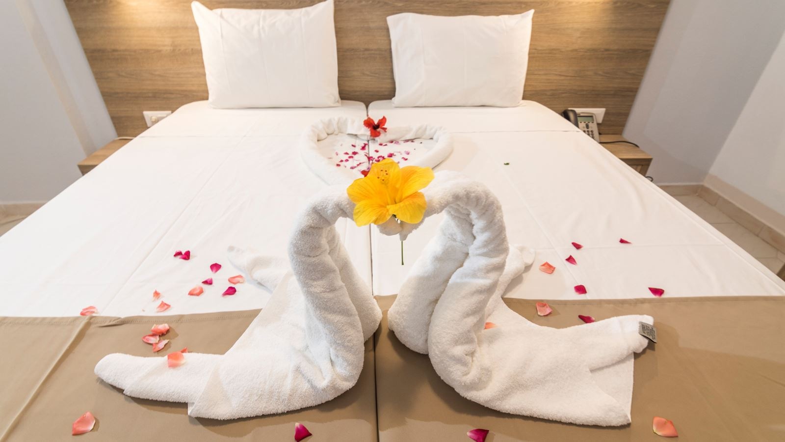 rooms-room-double-balcony-or-terrace