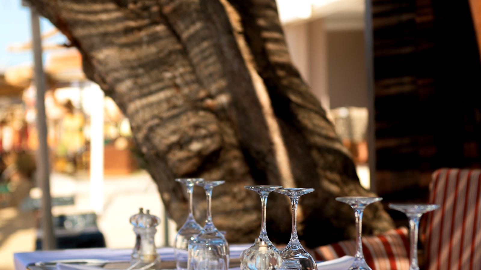 restaurants-elia-à-la-carte-restaurant