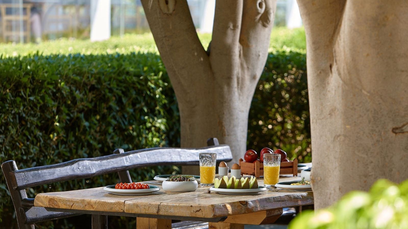 restaurants-main-resaurant