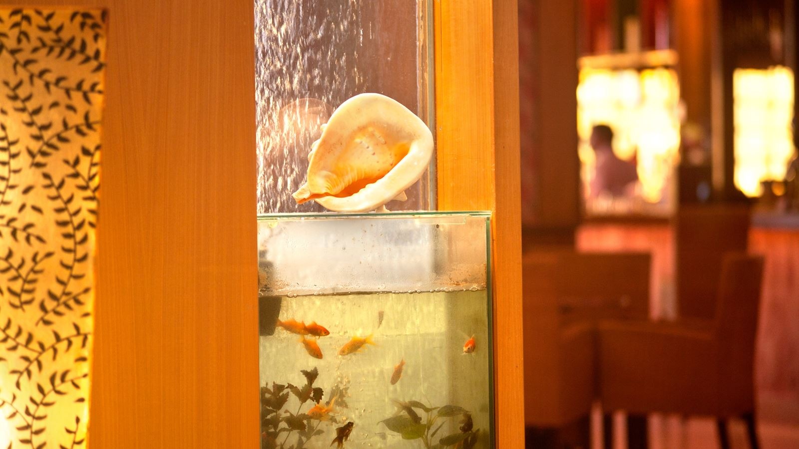 bars-aquarium-bar
