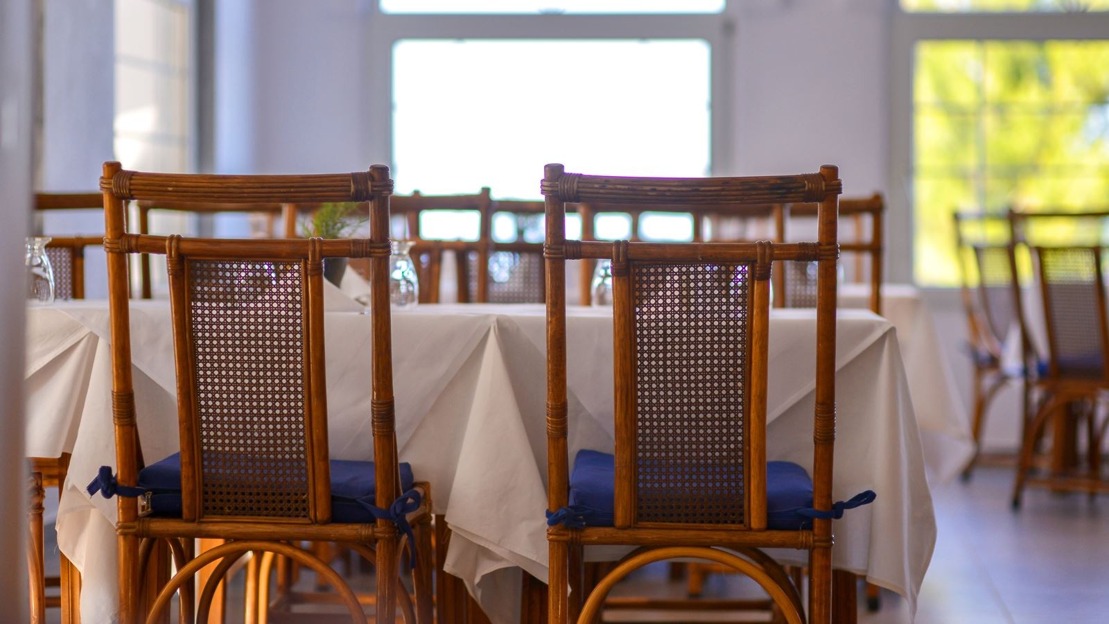 restaurants-main-restaurant-roxani