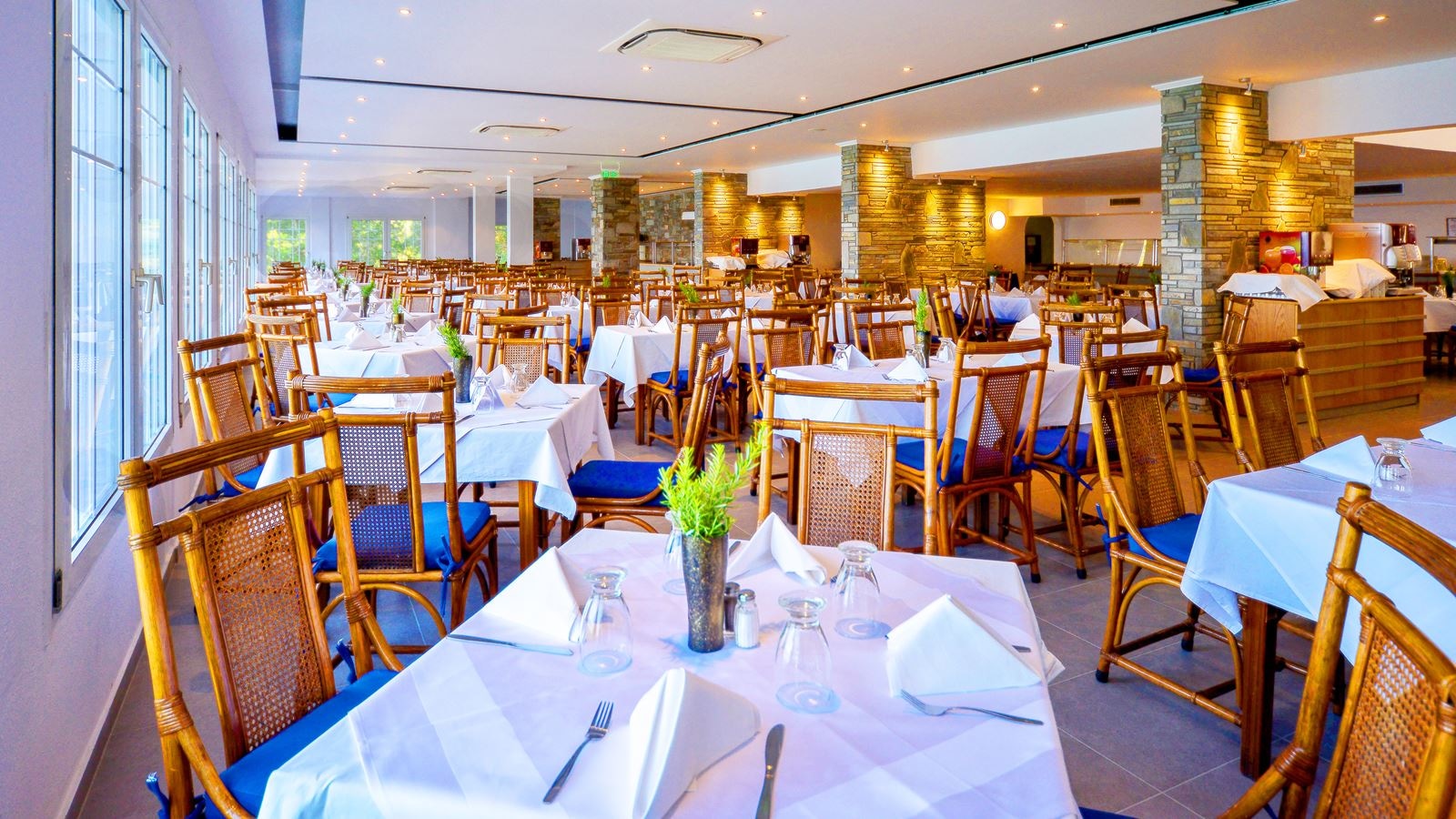 restaurants-main-restaurant-roxani